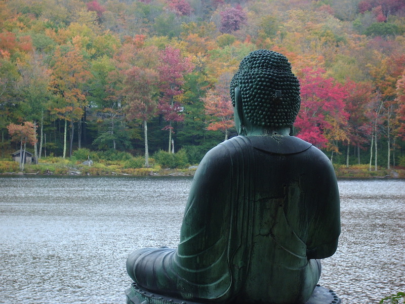 Fall Buddha